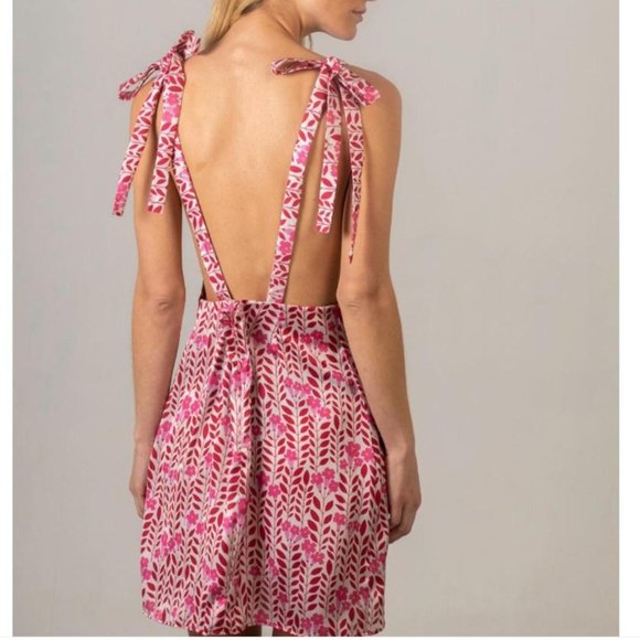 Brand New Lobo Rosa Arara Dress - Picture 2 of 10